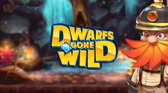 Dwarfs gone wild
